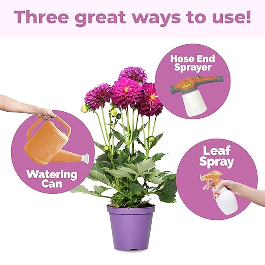 Dahlia Fertilizer – Liquid Plant Food for Bigger Blooms Vibrant Color &amp Stronger Root Development 32 oz