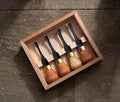 FRP604 Premium Mini-Palm Set