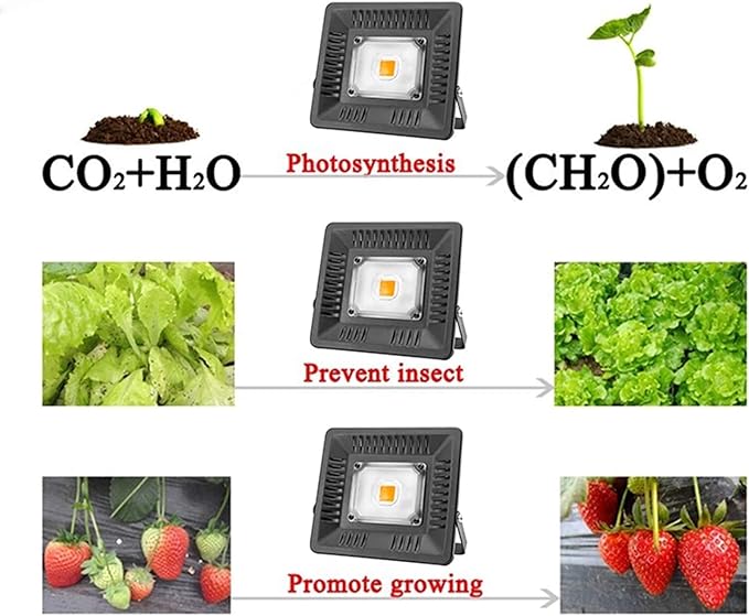 Full Spectrum Lamp LED Growing Light 50W 100W 150W AC 110V 220V High Power Outdoor Waterproof for Greenhouse Hydroponics Seeding (Color:150W)