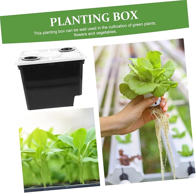 BESPORTBLE Hydroponic Planting Bucket for Garden Self Watering Greenhouse Vegetables Fruit Flower Pot