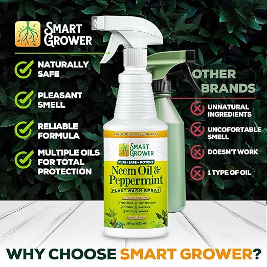 Neem Oil Spray for Plants with Peppermint Oil Natural Plant Wash Made for Indoor and Outdoor Plants Smart Grower 16oz Easy Ready to Use Spray