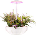 Hydroponic Growing Systems Height Adjustable Indoor Herb Garden Kit with Lamp Hydroponic Self-Watering Automatic Germination Kit for Herbs &amp Vegetables (White)