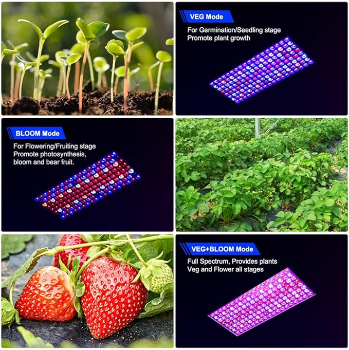 Upgraded BW1000 LED Grow Lights Double Chips Full Spectrum for Greenhouse and Indoor Plant Veg and Flower Growing [White]