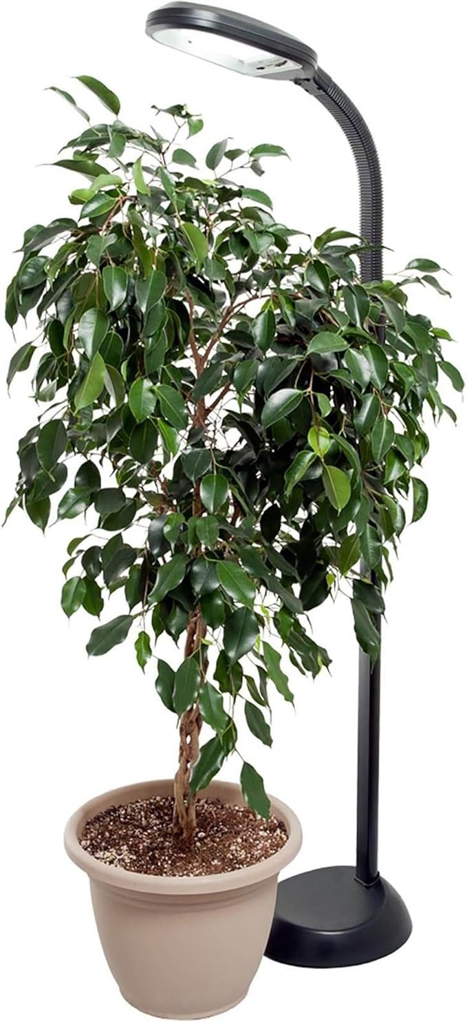Hydrofarm FLF27DF 27-watt CFL Floor Plant Light