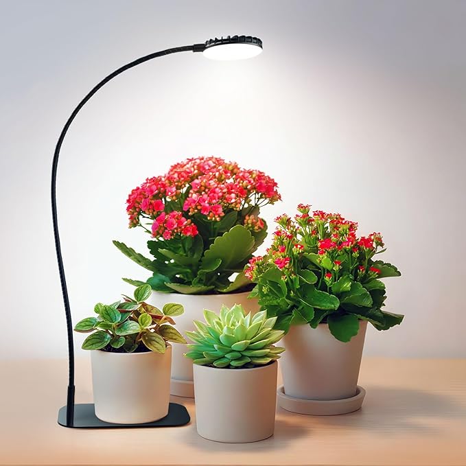 Desktop Plant Grow Light12w Growing Lamps High PpfdFull Spectrum Desk Growth Light with Automatic Timer4 Dimmable Levels（Black）