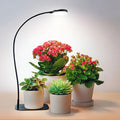 Desktop Plant Grow Light12w Growing Lamps High PpfdFull Spectrum Desk Growth Light with Automatic Timer4 Dimmable Levels（Black）
