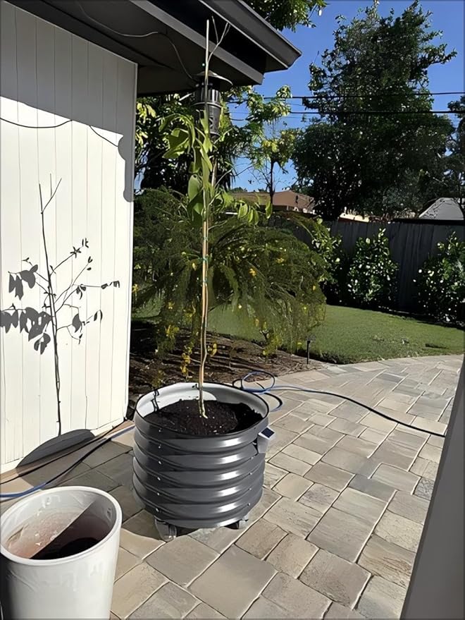 Rolling Metal Citrus Tree Planter Self-Watering Round Large Pot for Growing Trees Tomatoes Vegetables and Flowers Raised Garden Bed with Wheels for Porch Patio &amp Backyard Single Pack-Modern Gra