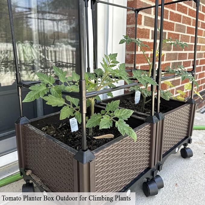 Tomato Cage with Trellis 62 H Wheeled Tomato Planter Box Outdoor for Climbing Plants Flowers Potato Vine Vegetables Portable Self Watering Raised Garden Bed for Patio Greenhouse
