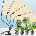 FECiDA Gamechanger 2026 36 Watt Power Draw NO Need Adapter 4Head Strong Clip Grow Lights for Indoor Plants with 4/8/12/16/20H Timer LED Plant Growing Lamps for Houseplants Bonsai Seed Starting
