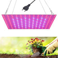 LED Plant Lamp with 169 Red and Blue LEDs Thin Full Spectrum Panel Grow Light for Hydroponics Indoor Plants Greenhouses Succulents Vegetables and Flowers