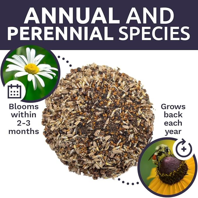 Sweet Yards - Northeast Wildflower Seed Regional Mixes - Bulk 1/4 Pound Bag - Over 30000 Native Seeds - Open Pollinated and Non GMO Varieties for New York Virginia Pennsylvania Maine and More!