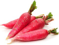 Radish Seeds - Chinese - Shunkyo - 1 Oz ~3180 Seeds - Non-GMO Heirloom - Asian Garden Vegetable &amp Microgreens