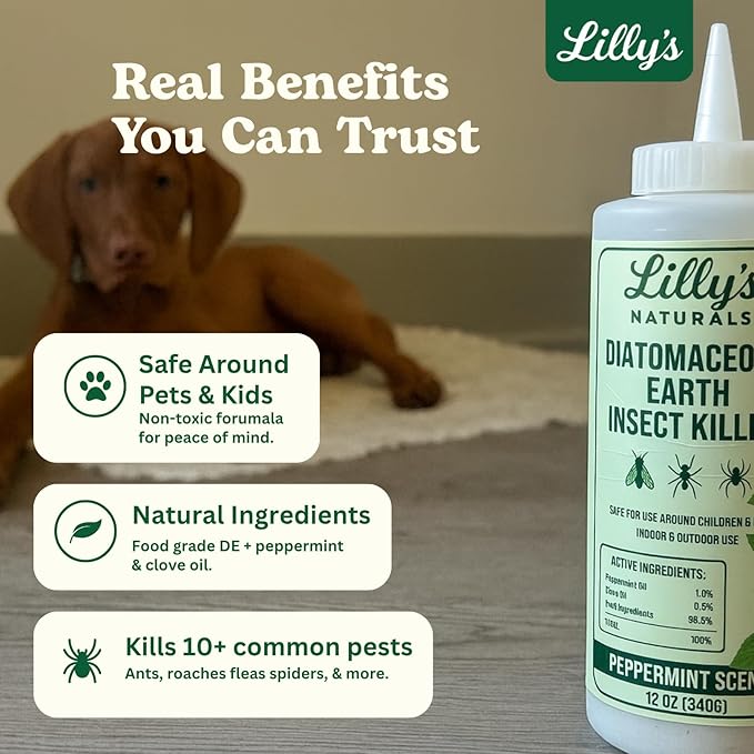 Diatomaceous Earth Food Grade with Peppermint Oil Crawling Insect Killer | Indoor Pest Control Powder for Bed Bug Roach Ant Fleas | Lilly's naturals 12 fl oz