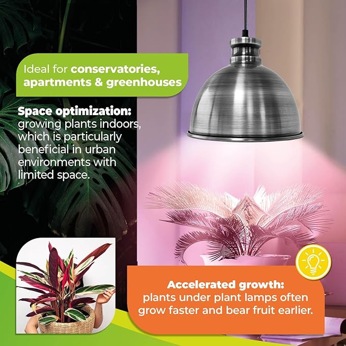 Bio Green 500-USZ Florabooster LUM 500 Grow Indoor 60w Lightbulb Lamp with 3m Connection Cable – Energy Saving House Plants – High Light Intensity Brushed zinc