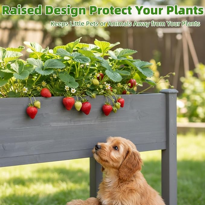 48x24x30In Raised Garden Bed with Legs – Wooden Planter Box with Bed Liner for Outdoor Flowers Vegetable Herb FruitErgonomic HeightPet &amp Animal Proof Plant stand for Backyard Patio Balcony Grey