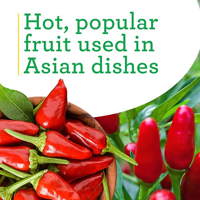 Bonnie Plants Thai Ornamental Hot Pepper 19.3 oz. 4-Pack Live Plants