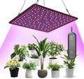 LED Grow Light Panel 600W Lamp for Indoor Plants Full Spectrum with White Blue Red UV IR LEDs for 3x3ft Coverage Grow Tent Greenhouse Veg and Bloom Seedlings Hydroponics Timer Brightness