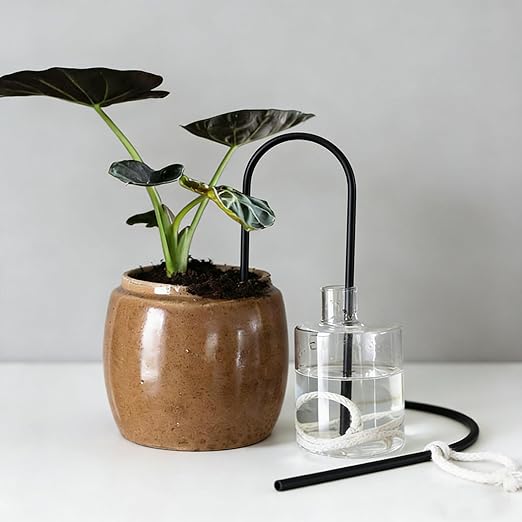 Self-Watering Plant Wick System Brass and Cotton U-Shaped Automatic Drip Irrigation for House Plants 12 Inch Black