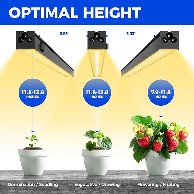 Barrina T5 Grow Lights 1FT Grow Light Fixture for Indoor Plants Full Spectrum Black Cover LED Plant Grow Light Bulbs for Indoor Plants Greenhouse Plug and Play Linkable Design Yellow 8 Packs