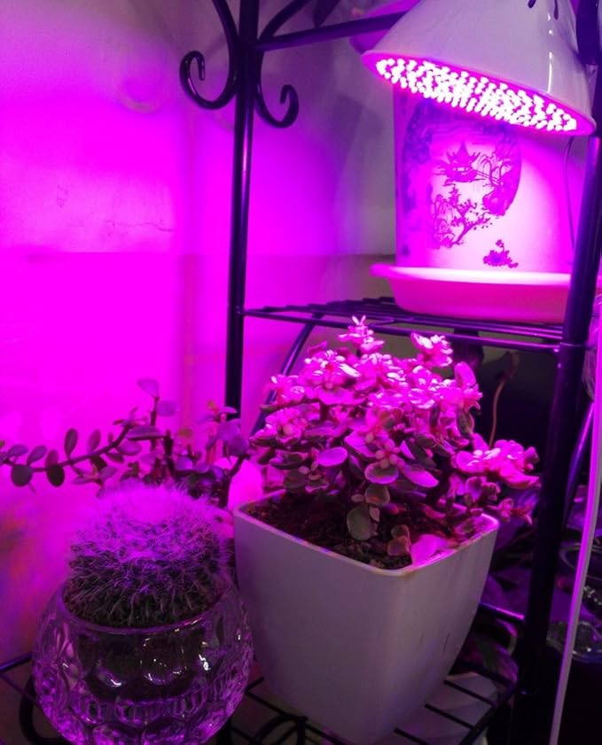 LED Growth Bulb Full Spectrum Plant for Hydroponic House Plants Indoor Garden Lighting E26/E27 20W LLP-LED