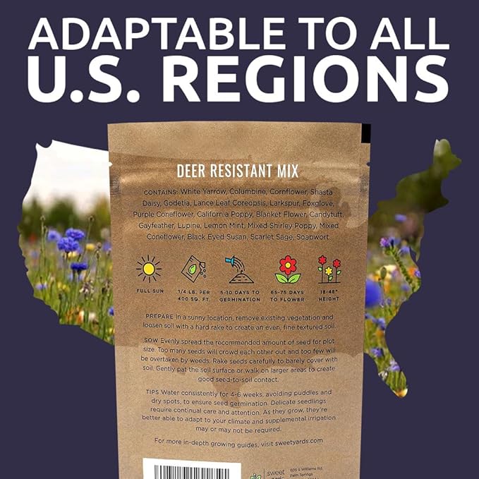 Deer Resistant Wildflower Seed Mixture - Bulk 1/4 Pound Bag - Over 60000 Deer Tolerant Seeds - Open Pollinated and Non GMO
