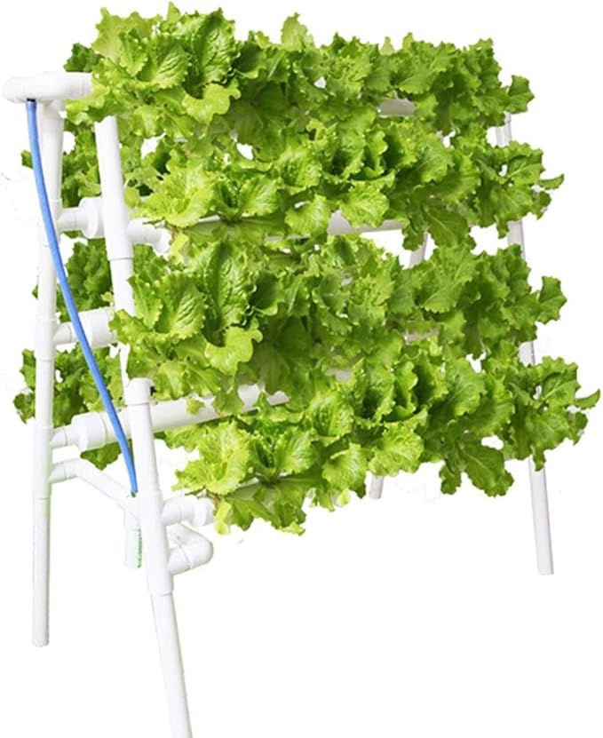 Hydroponic Site Grow Kit Hydroponic Growing System Water Culture Garden Plant System for Leafy Vegetables Herb