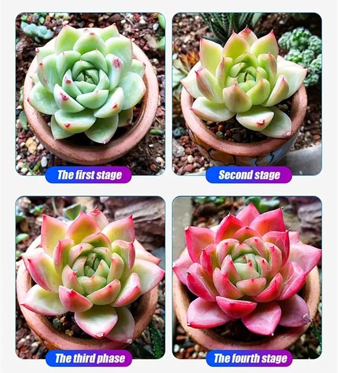 LED Grow Lights for Seed Starting Vegetables Bloom 50/240 Watt Dimmable Plant Light Dimming Grow Lights for Indoor Plants Full Spectrum in 4x2/3x3 Grow Tent50W