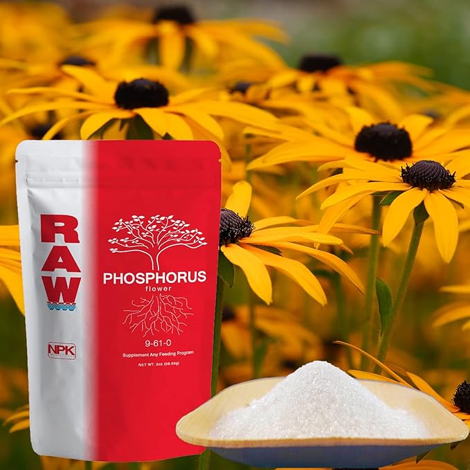 RAW Phosphorus 2 lb