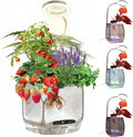 Misting Hydroponic Growing System Kit Smart Aeroponics Indoor Herb Gardening Planter Root ViewAir Humidifier&ampAuto Light-3 Mist ModesTemperature Control for Growing Vegetables/Flowers/Pods/Fruit