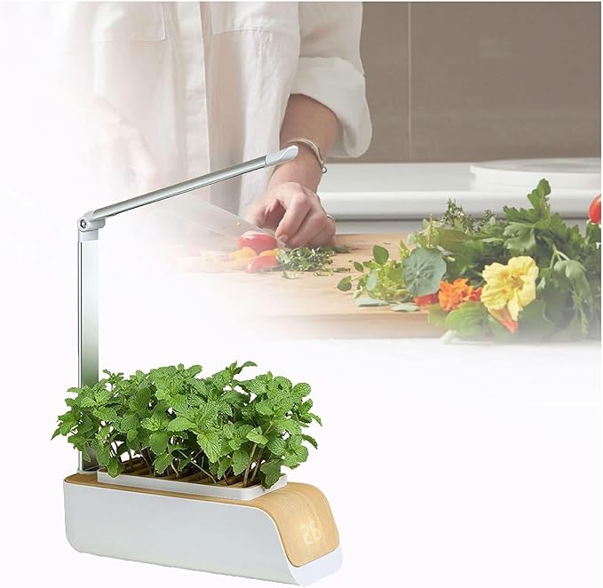 Smart Indoor Hydroponic System with LED Grow Light Temperature Display Adjustable Height Auto Light Cycle for Herbs