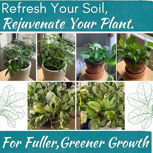 Houseplant Soil Conditioner &amp Probiotic – Organic Growth Booster (1-1-4) for Rejuvenating Tired Plants | Improves Soil Structure &amp Nutrient Availability for Stronger Roots &amp Fuller Leaves