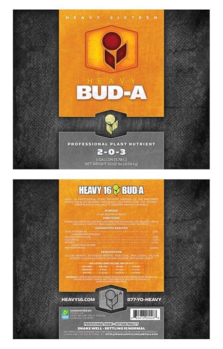 Bud A Gallon (4L)