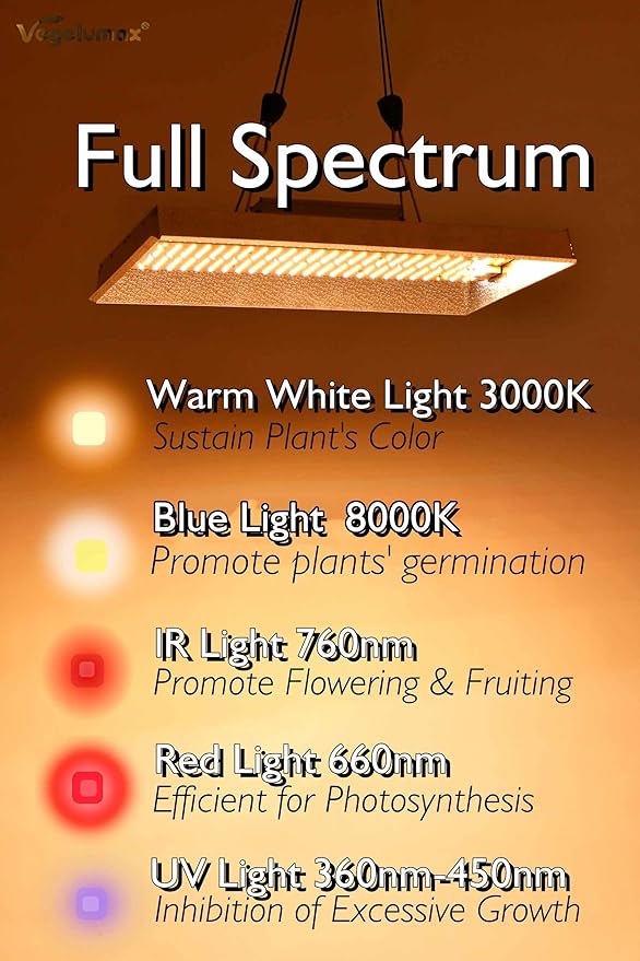 VGP2000 LED Grow Light with UV IR Diodes Actual 200 Watt 3x3 4x4ft Coverage Sunlike Full Spectrum Led Growing Lamp Driver Dimmable for Indoor Plant Seedling Veg Bloom Hydroponics Greenhouse
