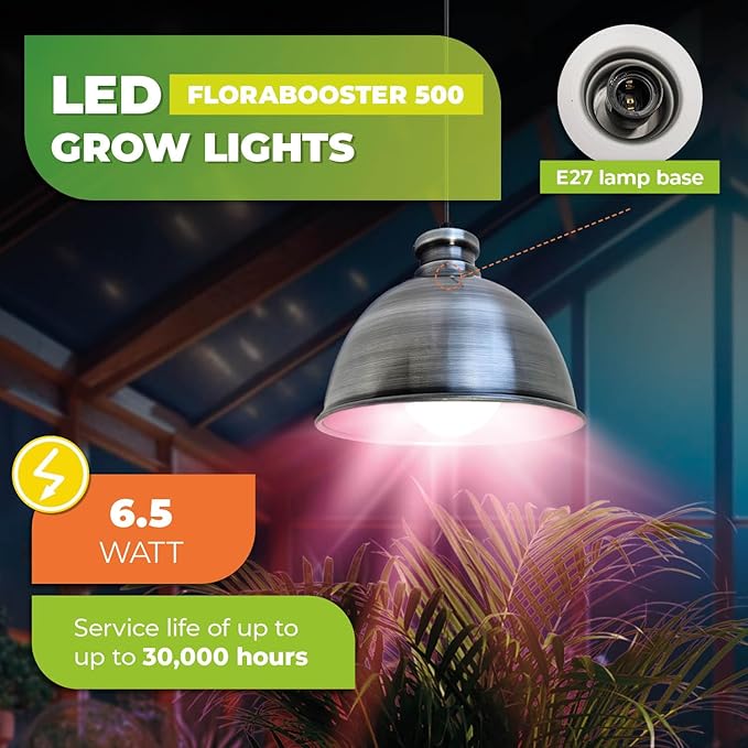 Bio Green 500-USZ Florabooster LUM 500 Grow Indoor 60w Lightbulb Lamp with 3m Connection Cable – Energy Saving House Plants – High Light Intensity Brushed zinc