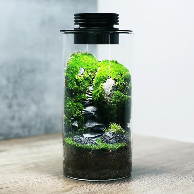 Desktop Glass Plant Terrarium with Grow Light (H:7.8 D:4) for Succulent Moss Miniature Gardening Landscape Betta Fish Tank Office Home Decoration Plant Lovers Gifts