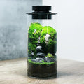 Desktop Glass Plant Terrarium with Grow Light (H:7.8 D:4) for Succulent Moss Miniature Gardening Landscape Betta Fish Tank Office Home Decoration Plant Lovers Gifts
