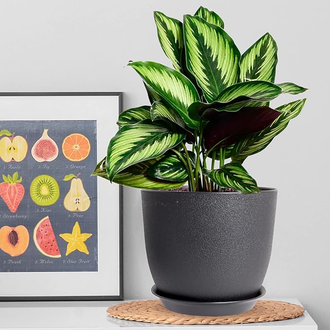 WOUSIWER Plant Pots 10/9/8 inch Set of 3 Modern Decorative Plastic Planters with Drainage Holes and Saucers for House Plants Indoor Flowers Plants Black