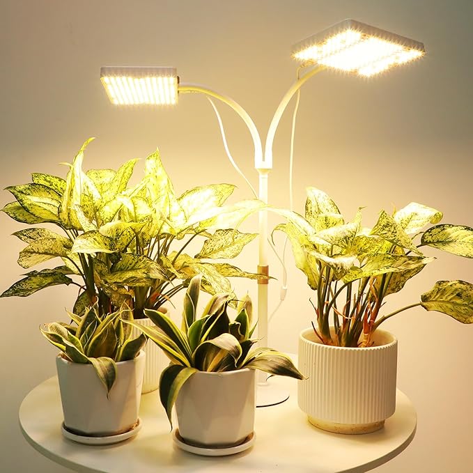 2Head Tabletop Grow Light Bright and Big Coverage Grow Lights for Seed Starting Bonsai Succulent 4/8/12/16/20H Timer 50 Watt Power Draw NO Need Adapter 16-24 Height Adjustable