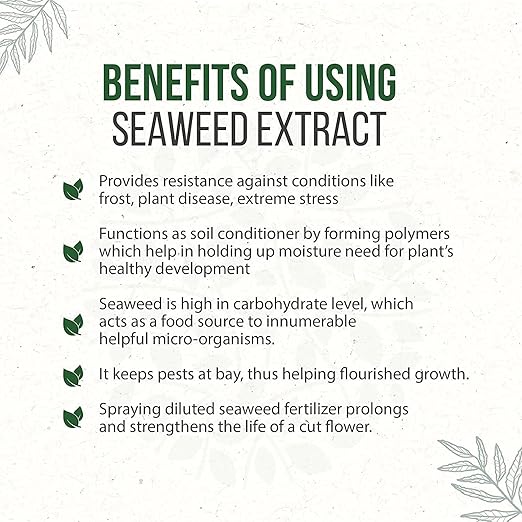 Go Garden Liquid Seaweed Fertilizer for Plants Concentrate Organic Fertilizer for Plant and Garden 250ML