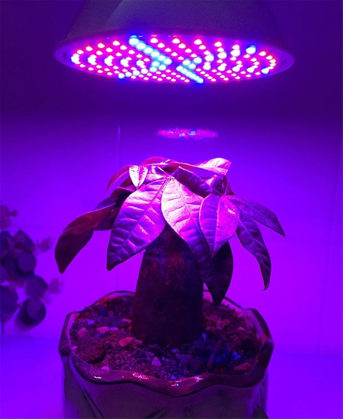 LED Growth Bulb Full Spectrum Plant for Hydroponic House Plants Indoor Garden Lighting E26/E27 20W LLP-LED
