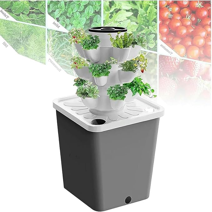 A 3 Herbal Fruits and Vegetable Culture