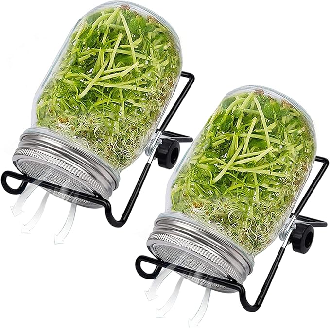 Sprouting Jar 2 Sets Wide Mouth Seed Sprouter with Mesh Lid 16oz Sprouting Kit with Adjustable Stand 4.92in Transparent Sprouts Growing Kit for Beans Broccoli
