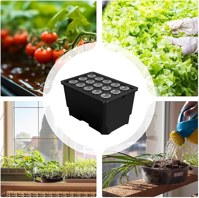 Hydroponic Growing Box Soilless Cultivation System ABS Hydroponics Plant Growth System Household Propagation Box Easy Setup for Home and Small Farm Growing