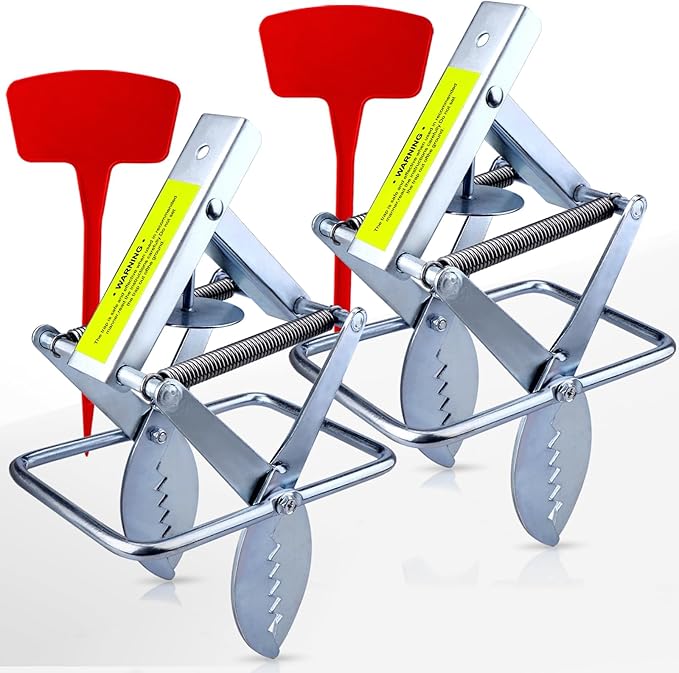 Mole Trap Scissor 2 Pack Upgraded Mole Traps for Lawns That Kill Best Galvanized Steel Mole Killer Easy Step Setup