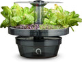 ATL1 Hydroponic Growing System Kit Garden Indoor Tabletop Garden Planter Tower with Self Watering &amp LED Light - Hydroponic Microgreens Lettuce Herbs Sprouts in Your Home &amp Kitchen