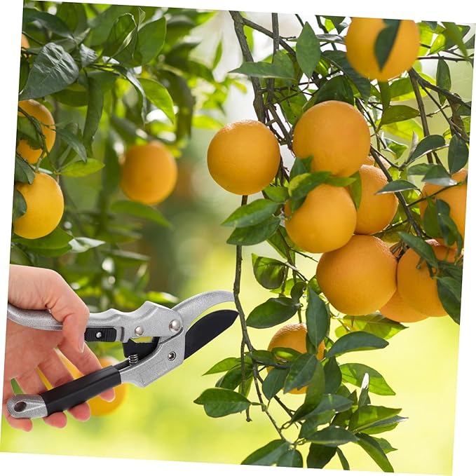BESPORTBLE Aluminum Alloy Garden Tool Set Pouch – Multifunctional Shovels Hand Trowel Rake for Gardening – Ergonomic Design for Easy Use