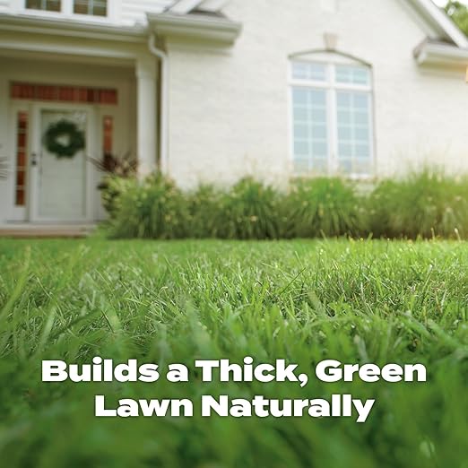 Scotts Natural Lawn Food Lawn Fertilizer For All Grass Types Apply Any Season OMRI Listed Covers 4000 sq. ft. 29.1 lbs.