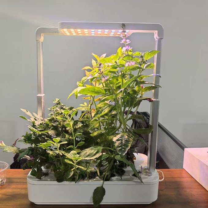 12 Pods Indoor Garden Hydroponics Growing System24W LED Grow Light6.5L Water TankPump SystemAutomatic Timer Smart Vegeable and Fruit Grow Garden KitWhite