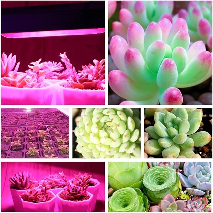 30W 50W 80W LED Grow Light AC 110V 220V Growth Floodlight Full Indoor Plant Light Greenhouse Cob Flood Grow Light(50W220V)