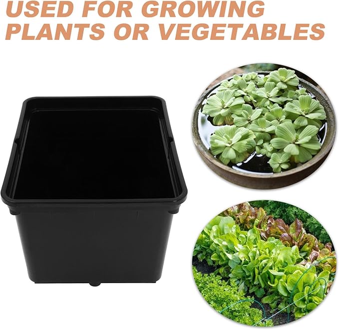 1set Hydroponic Planting Nursery Box Soilless Cultivation for Vegetables Fruits for Greenhouse Balcony Gardens and Flower Nursery Production